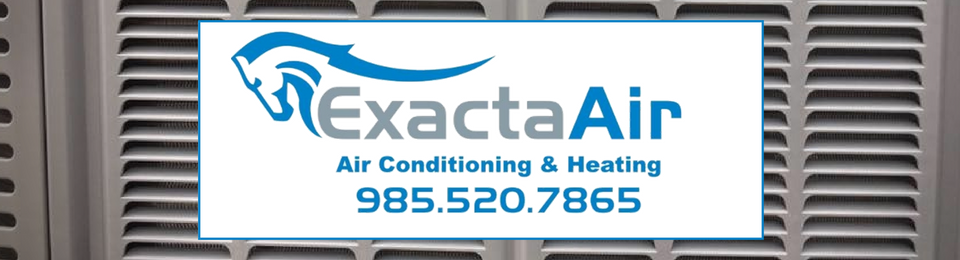 Exacta Air